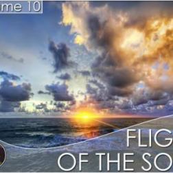 VA - Flight Of The Soul vol.10 (2015) MP3