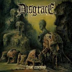 Disgrace - True Enemy (2015) MP3