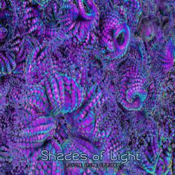 VA - Shades Of Light (2015) MP3