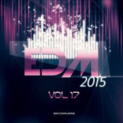 VA - EDM 2015, Vol. 17 (2015) MP3