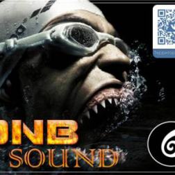 VA - DNB Sound vol.6 (2015) MP3