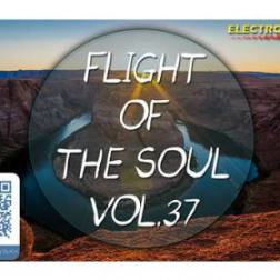 VA - Flight Of The Soul vol.37 (2015) MP3