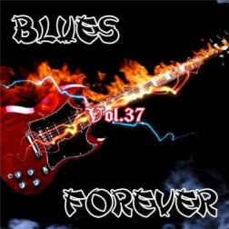VA - Blues Forever, Vol.37 (2015) MP3