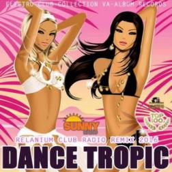 VA - Dance Tropic (2016) MP3
