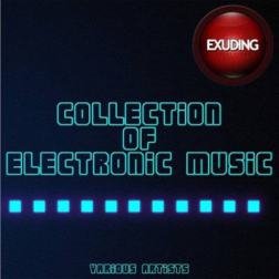 VA - Collection of Electronic Music (2016) MP3