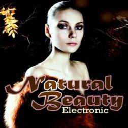 VA - Natural Beauty Electronic (2016) MP3