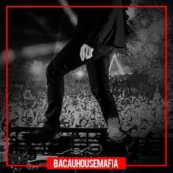 VA - BacauHouseMafia vol.2 (2016) MP3