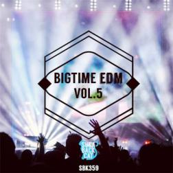 VA - Bigtime EDM, Vol. 5 (2016) MP3