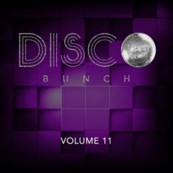 VA - Disco Bunch Vol. 11 (2016) MP3