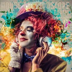 VA - House Kaleidoscope Top 100 [Compiled by Zebyte] (2016) MP3