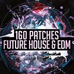VA - 160 Future House & Wonders EDM (2016) MP3