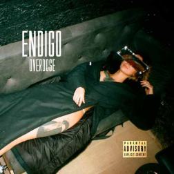 Endigo - Overdose