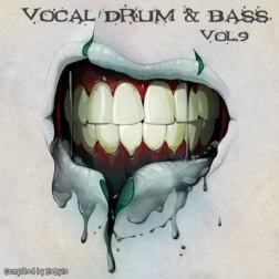VA - Vocal Drum & Bass Vol.9 [Compiled by Zebyte] (2016) MP3