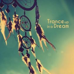 VA - Trance up in a Dream (2017) MP3