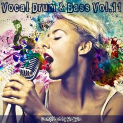 VA - Vocal Drum & Bass Vol.11 [Compiled by Zebyte] (2017) MP3