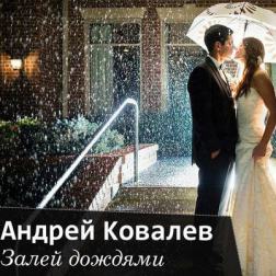 Андрей Ковалев - Залей дождями