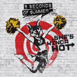 Lyrics 5 Seconds of Summer - Girl Who Cried Wolf