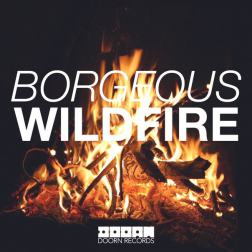 Lyrics Borgeous - Wildfire