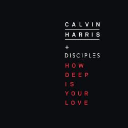 Lyrics Calvin Harris & Disciples - How Deep Is Your Love