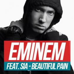 Lyrics Eminem - Beautiful Pain