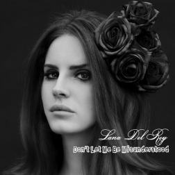 Lyrics Lana Del Rey - Don't Let Me Be Misunderstood
