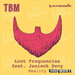 Lyrics Lost Frequencies feat. Janieck Devy - Reality