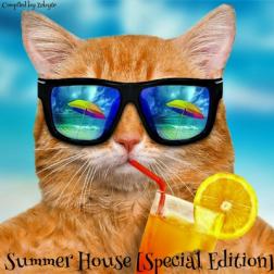 VA - Summer House: Special Edition [Compiled by ZeByte] (2017) MP3