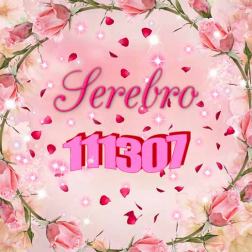 SEREBRO - 111307